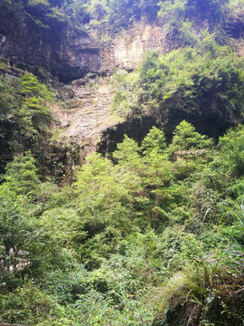 夯沙风景