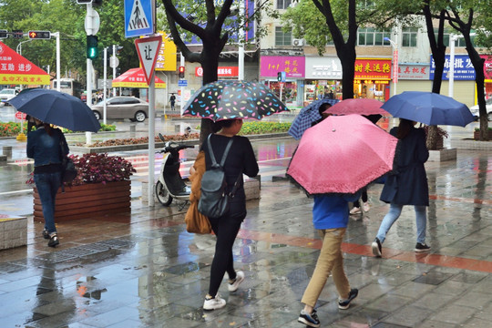 雨中行人