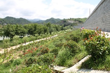 石泉江南公园堤防护坡绿化