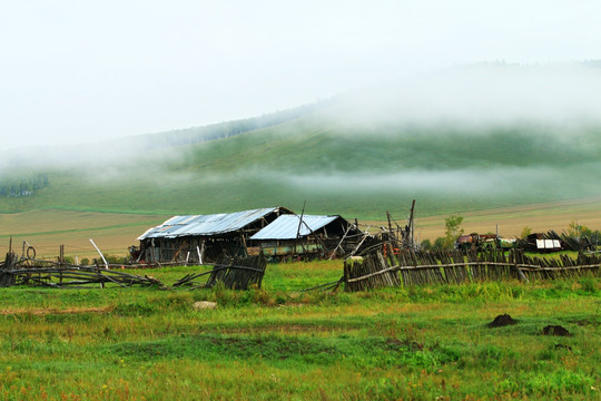 晨雾迷漫的乡村农家