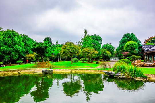 湖畔风景