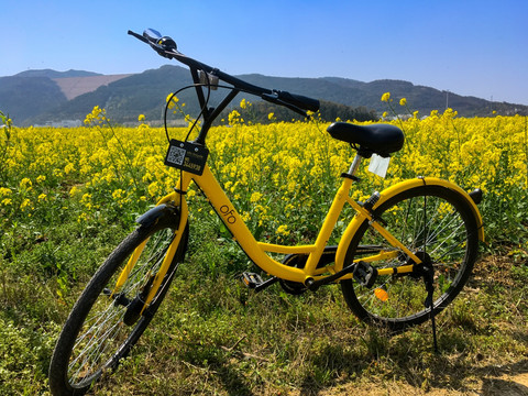 小黃車