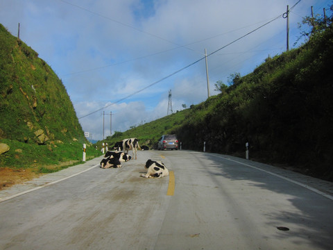 牧场公路