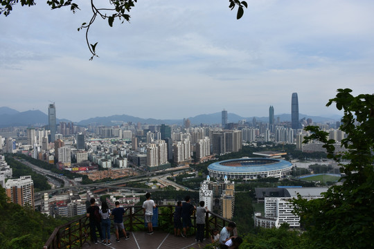 黄贝岭 体育馆 建筑风景 高楼