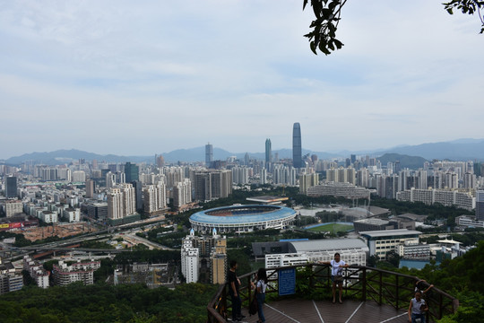 黄贝岭 体育馆 建筑风景 高楼