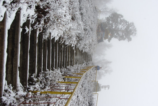 大兴安岭冰雪世界