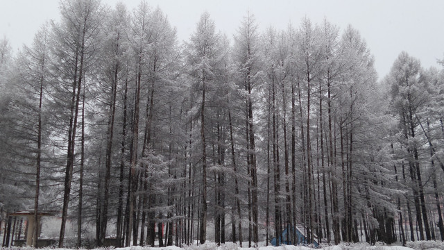 大兴安岭冰雪世界