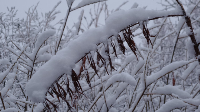 大兴安岭冰雪世界