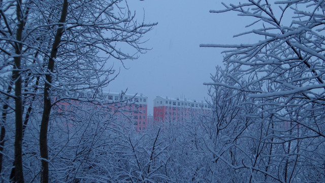 大兴安岭冰雪世界