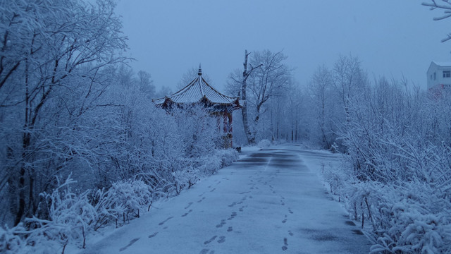 大兴安岭冰雪世界