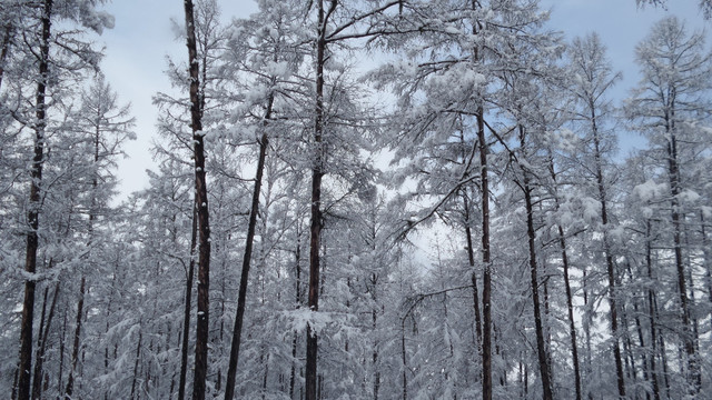 大兴安岭冰雪世界