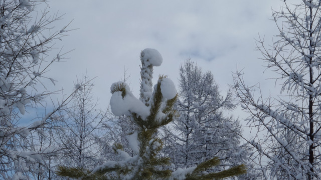 大兴安岭冰雪世界