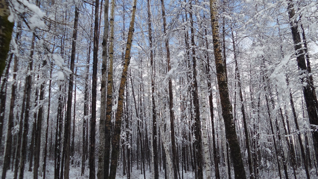 大兴安岭冰雪世界