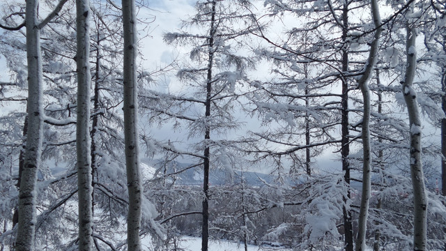 大兴安岭冰雪世界