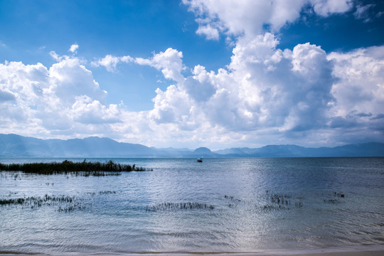 云南抚仙湖风光