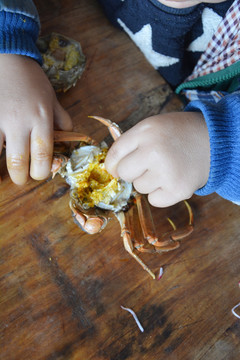 小孩吃螃蟹