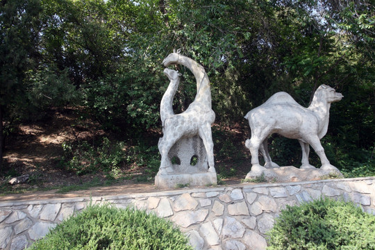 梅花鹿 雕塑 骆驼