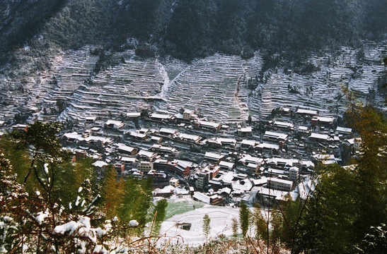 山霞村全景