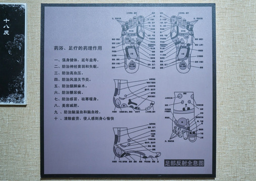 足部反射全息图 高清大图