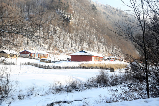 雪 冰雪 风景 户外 旅游