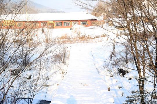 雪 冰雪 风景 户外 旅游