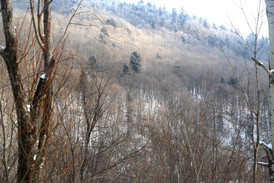 雪 冰雪 风景 户外 旅游