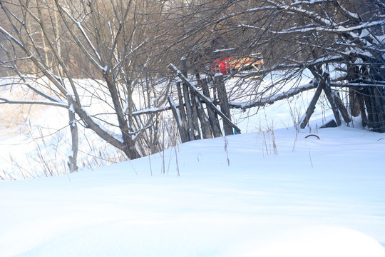 雪 雪景 雪地