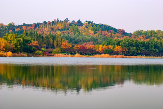 山林秋色