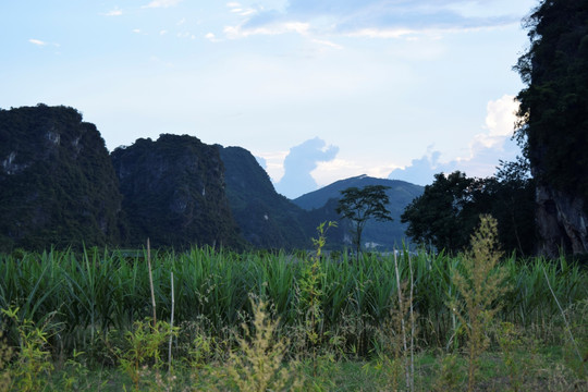 山村风光