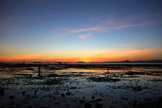 海滩 滩涂 夕阳 落日