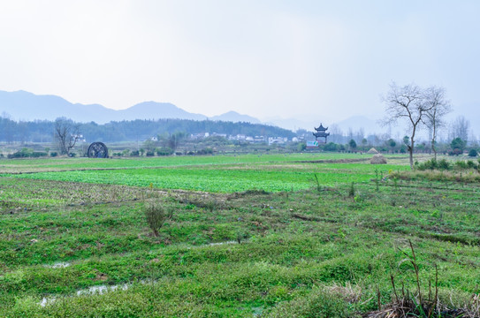 屏山农田