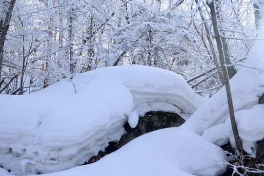 雪 风景 村庄 雪乡 农村