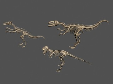 3dmax模型恐龙骨骼