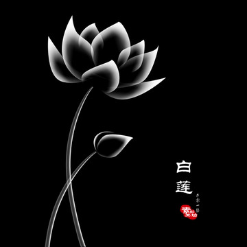 白蓮