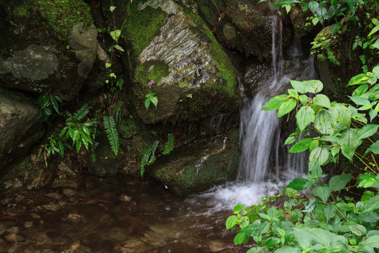 大理苍山 小溪流水