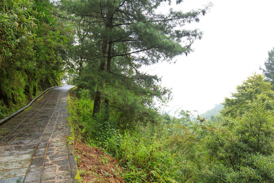 云南大理苍山 云游路