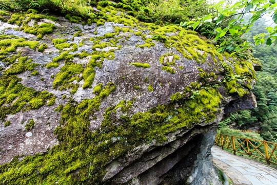 大理苍山 岩石