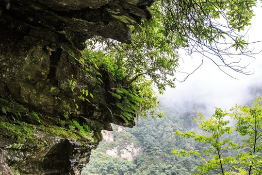 大理苍山 岩石