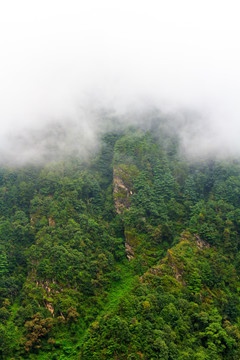 云南大理 苍山云海风光