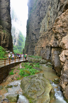 武隆青龙桥 鲤鱼跃龙门