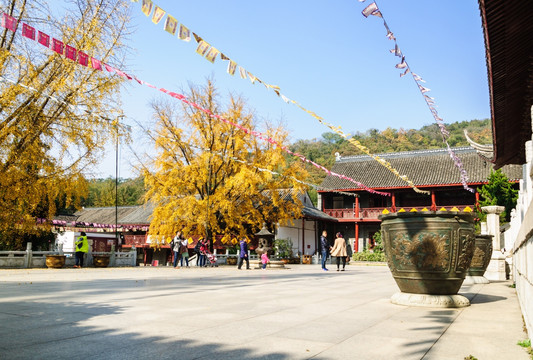 栖霞寺秋色