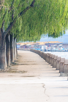 外秦淮河风景带秋色