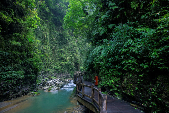 黑山谷风光