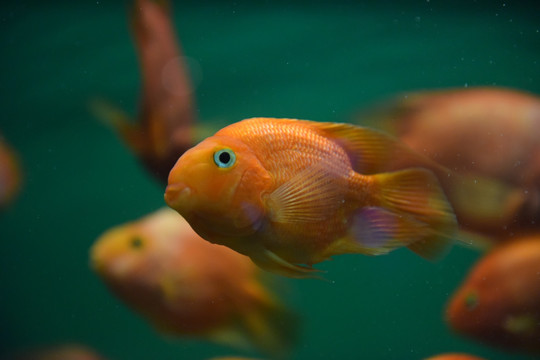 水族馆