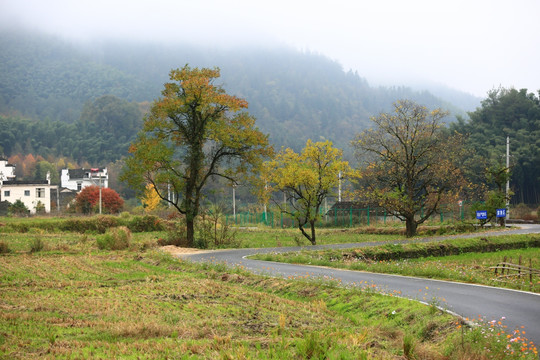 塔川秋色 协里村 村口