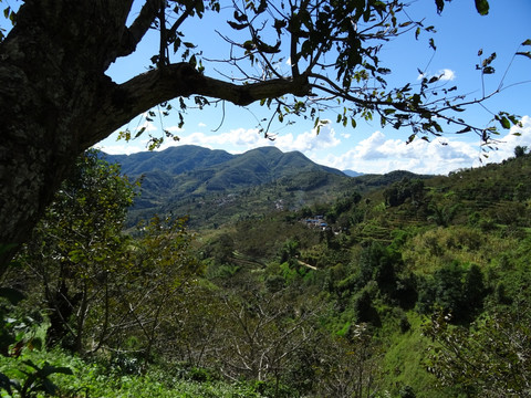 大山 绿山 山区 山岭 风景