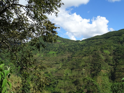 大山 绿山 山区 山岭 风景