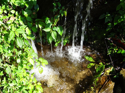 小溪 溪流 山谷 溪水 流水