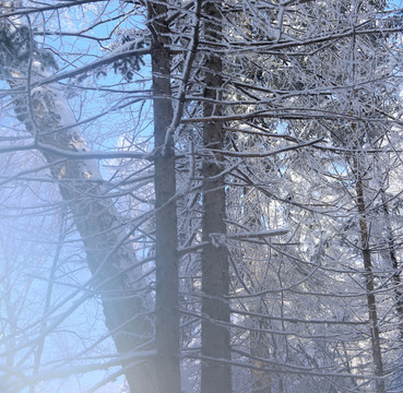 雪乡 雪乡风景 中国雪乡