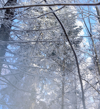 雪乡 雪乡风景 中国雪乡